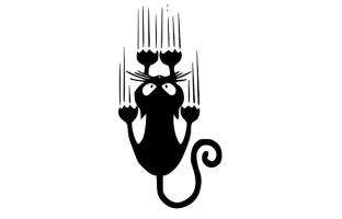 Cat Sliding