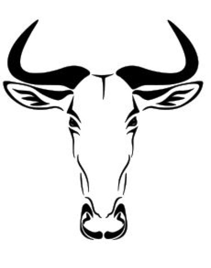 Wildebeest