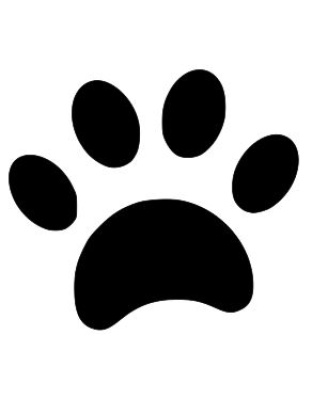 Cat Paw