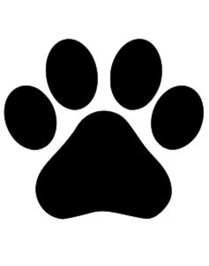 Dog Paw