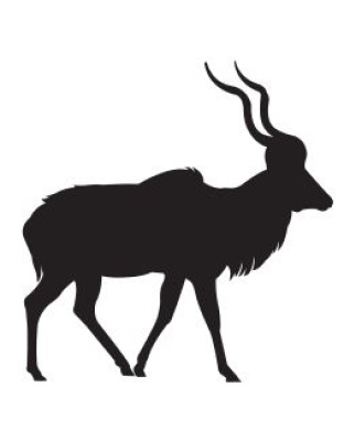 Kudu