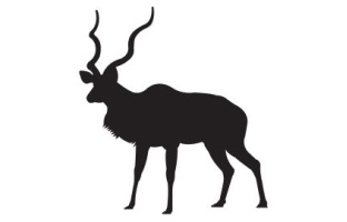 Kudu