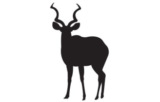 Kudu
