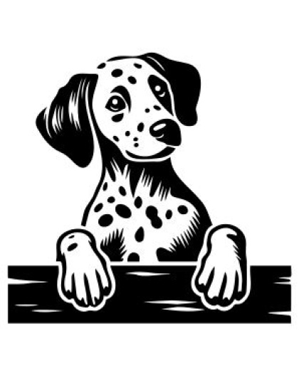 Peeking Dog