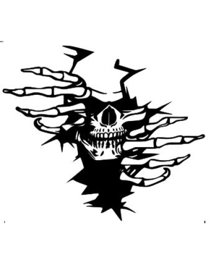 Skull